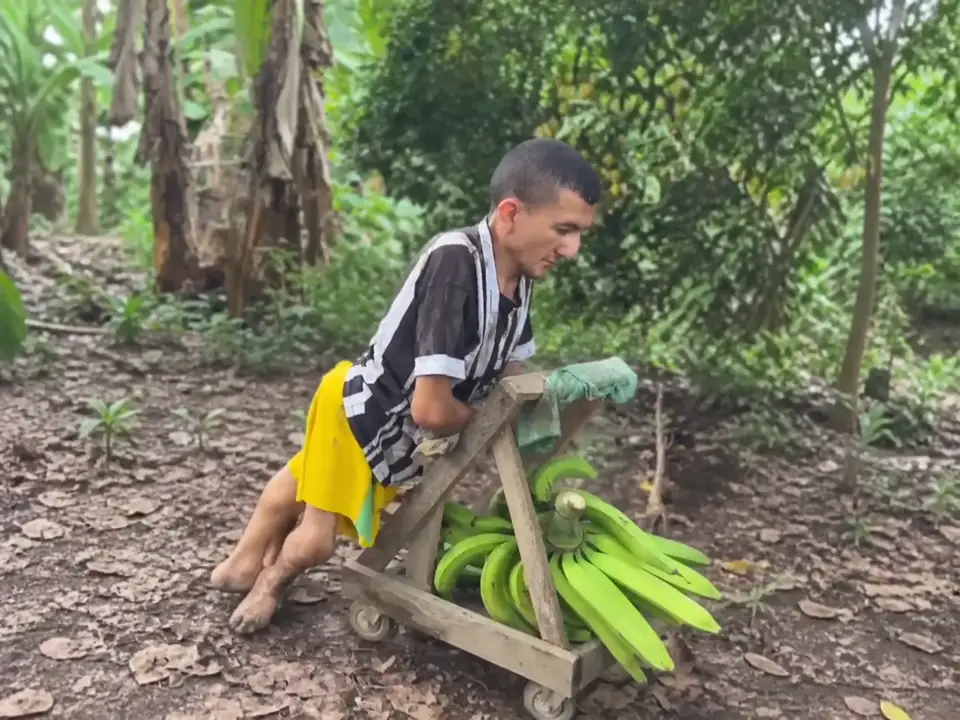 Goyito supporting himself beside a wooden cart carrying plantains, adapted from campaign footage